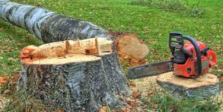 Best Firewood Processing and Delivery  in Mountville, PA