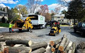 Lawn Maintenance Plans in Mountville, PA
