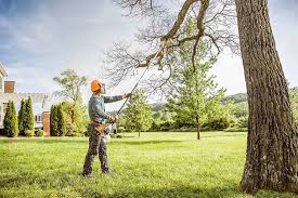 Best Tree Mulching  in Mountville, PA