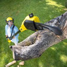 Best Storm Damage Tree Cleanup  in Mountville, PA