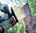 Best Utility Line Clearance  in Mountville, PA