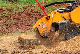 Best Lawn Disease Treatment  in Mountville, PA