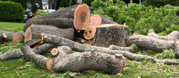 Best Tree Preservation Services  in Mountville, PA
