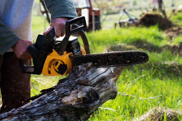 Best Tree Trimming and Pruning  in Mountville, PA